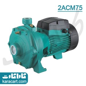 پمپ دو پروانه 1 اسب لئو مدل 2ACM75